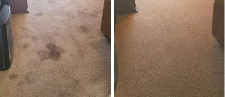 Spotted carpet before cleaning and after cleaning